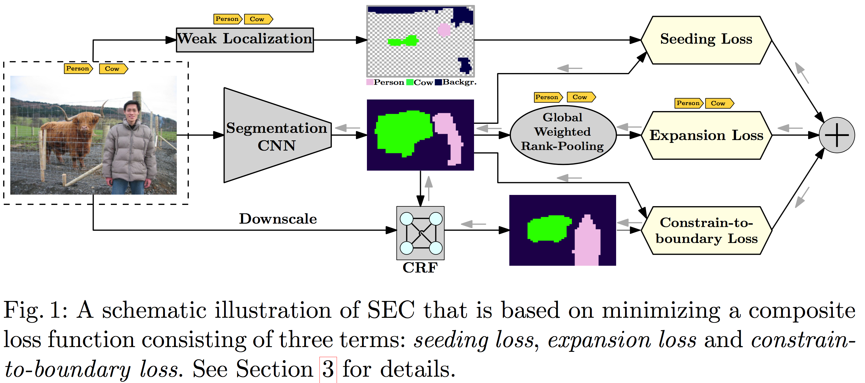 A schematic illustration of SEC